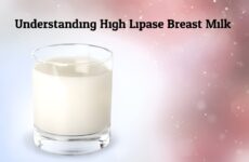 Understanding High Lipase Breast Milk: Causes, Effects, and Solutions