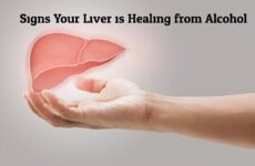 Signs Your Liver is Healing from Alcohol